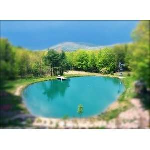  8 oz Blue Shade Fountain Lake Pond Dye Super Strength 