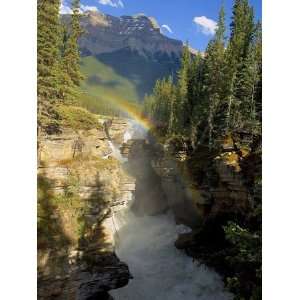  A vertical image of the Athabasca falls on the Athabasca 