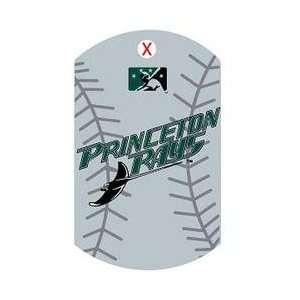   Collectibles Princeton Devil Rays Team Dog Tag
