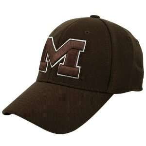   Michigan Wolverines Chocolate Thunder 1Fit Hat