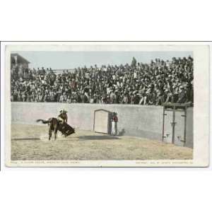   Reprint A Close Shave, Mexican Bull Fight 1902 1903