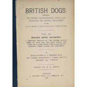  British Dog Dogs Kennel Kennels Hound Hounds Old Print 