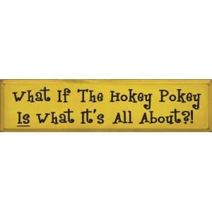  What If The Hokey Pokey Is What Its All About? (funky 