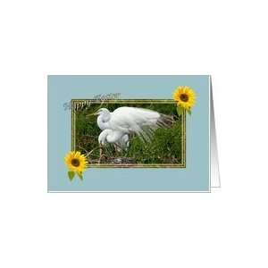  Easter Card with Nesting Egrets Card Health & Personal 