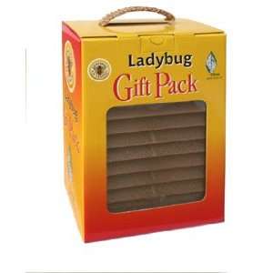 Lady Bug House Gift Pack Patio, Lawn & Garden