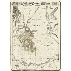  PEAVINE COPPER MINES NEVADA (NV/WASHOE) MAP BY WARREN HOLT 