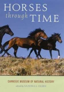   Horses Through Time by Sandra Olsen, Rinehart 