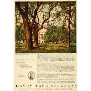  1922 Ad Davey Tree Removal Surgeons Landscape Architecture 