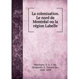  La colonisation. Le nord de MontreÌal ou la reÌgion Labelle 