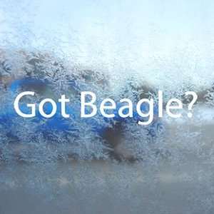  Got Beagle? White Decal Dog Rabbit Laptop Window White 