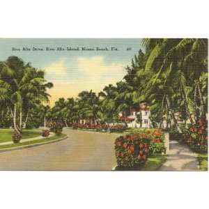 1950s Vintage Postcard Rivo Alto Drive on Rivo Alto Island Miami Beach 