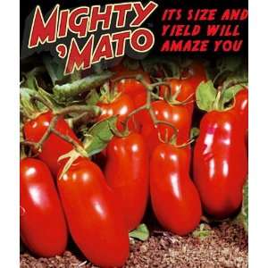  Mighty Mato Grafted San Marzano Tomato Plant   Easy to 