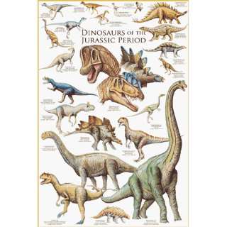  Safari 40181 Dinosaurs Of The Jurassic Period Laminated 