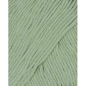    Fibra Natura Cottonwood Yarn 41119 Gena Arts, Crafts & Sewing