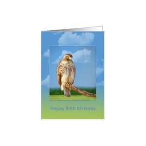  Birthday, 80th, Rough Legged Hawk Card Toys & Games