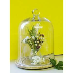  Large Glass Bell Jar Cloche Terrarium with Dried Sage 