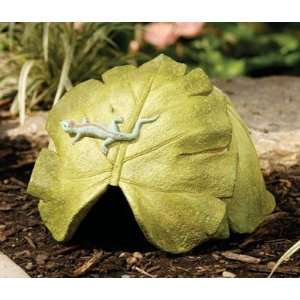  NCE   Toad House   Banana Leaf