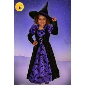    Princess Paradise Purple Bats Witch costume 