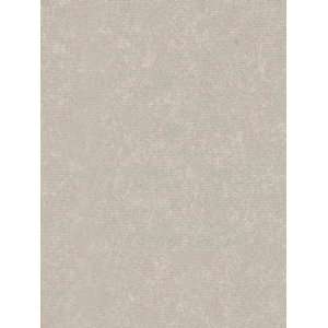  Wallpaper Patton Wallcovering Focal Point 7991952
