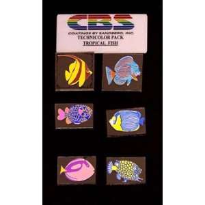  CBS Technicolor Dichroic Fish COE 96 set of 6 Everything 