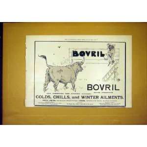 Advert Bovril Old Print 1897 