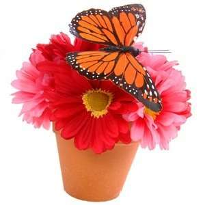  Butterfly Flower Type fragrance oil Beauty