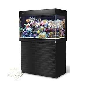   Plug & Play Coral Reef System 65 Gallon Aquarium w/ St