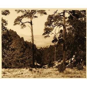 1925 Pico de Orizaba Landscape Hugo Brehme Photogravure 