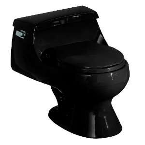   Rialto One Piece Round Front Toilet, Black Black