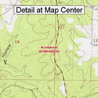  USGS Topographic Quadrangle Map   Brushyknob, Missouri 