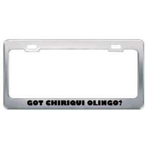Got Chiriqui Olingo? Animals Pets Metal License Plate Frame Holder 