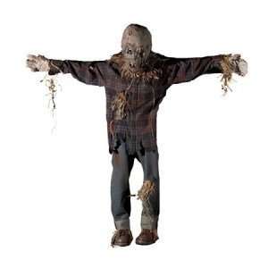  Scarecrow