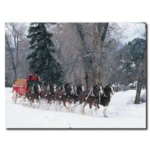 Clydesdales   Snowing in Forest   24 x 32Canvas 