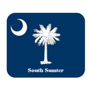  US State Flag   South Sumter, South Carolina (SC) Mouse 
