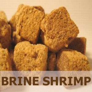 Brine Shrimp Freeze Dried Bulk Fish Food 1/2 LB  
