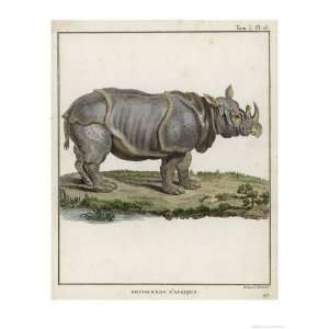 Fine Early Engraving of an African Rhinoceros Giclee Poster Print by 