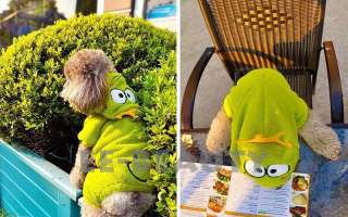 Lovely Green Crown Frog Fleece Dog Pet Clothes Apparel Jumpsuit 