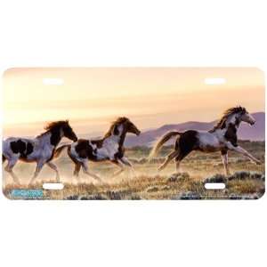 6522 Early Morning Run Horse License Plates Car Auto Novelty Front 