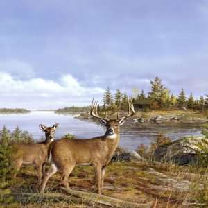    Deer Elk Moose Lakeside Deer 12 x 12 Paper