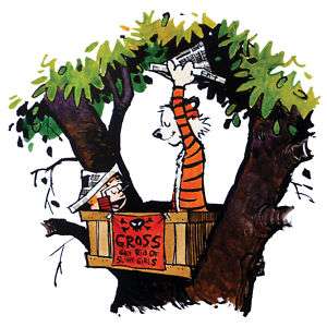 Calvin and Hobbes Gross Fort Poster Print 24 x 24  