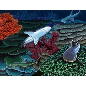  Coral Reef Sharks by Steve Shachter. Size 16.63 X 12.75 