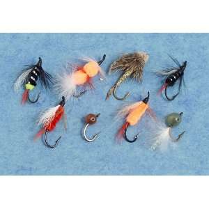  Essential Western Steelhead Assortment