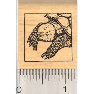 Small Russian Tortoise Rubber Stamp Arts, Crafts & Sewing