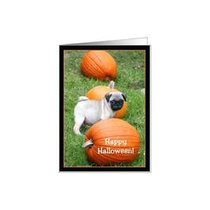  Happy Halloween Pug puppy in pumpkin patch Card Health 