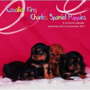  Cavalier King Charles Spaniel Puppies 2013 Wall Calendar 