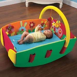  Discovery Rock n Play Center Baby