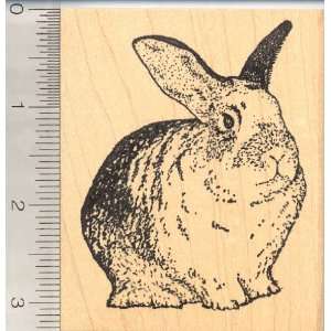  Large Domestic House Rabbit Rubber Stamp Arts, Crafts 