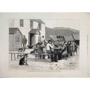   1881 Scottish Vol Sheep Farm Spital Glenshee Old Print