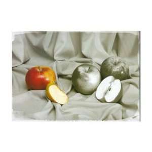  raget   Apple by P. Chaban Raget 16x12