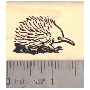  Short beaked Echidna Rubber Stamp Spiny Anteater Arts 
